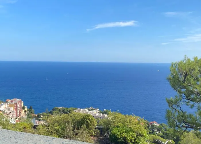 Monaco Doors 5 Vue Mer, Piscine, Parking